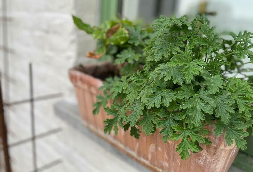 Bed and Breakfast De Wabisabiboerderij