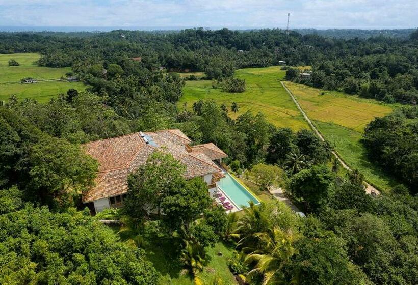 بنسيون Villa The Divine