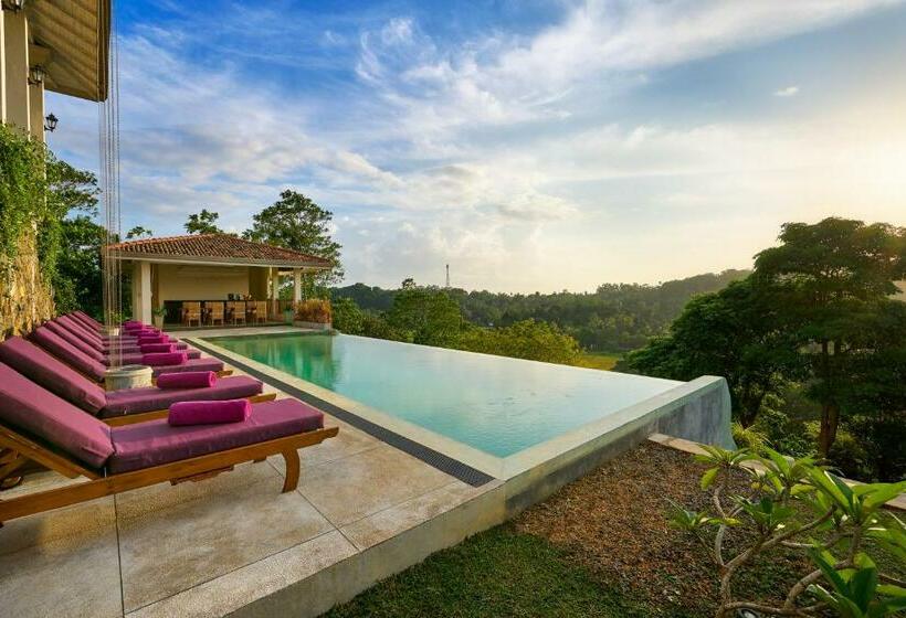 بنسيون Villa The Divine