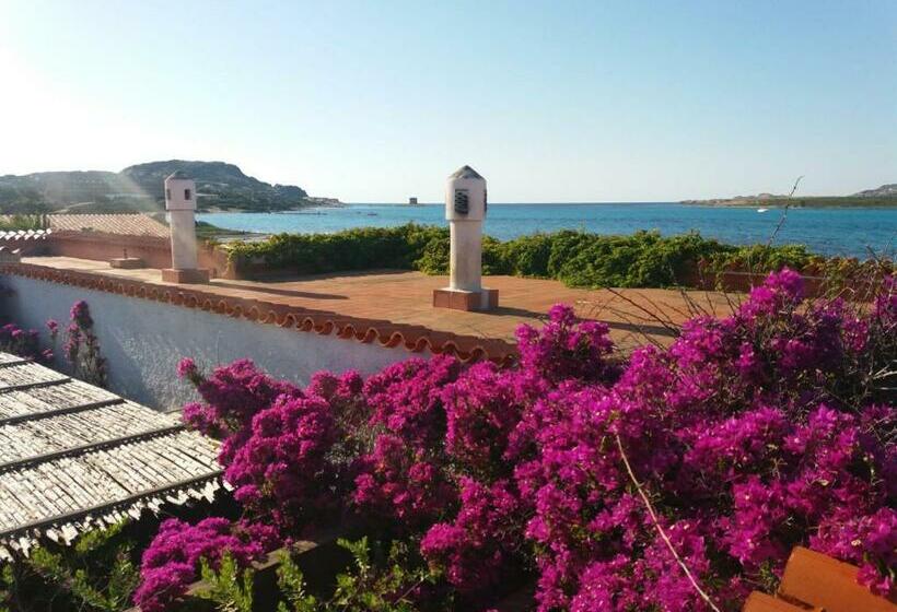 پانسیون Villa Curiazzi Guesthouse Viale La Pelosa 16