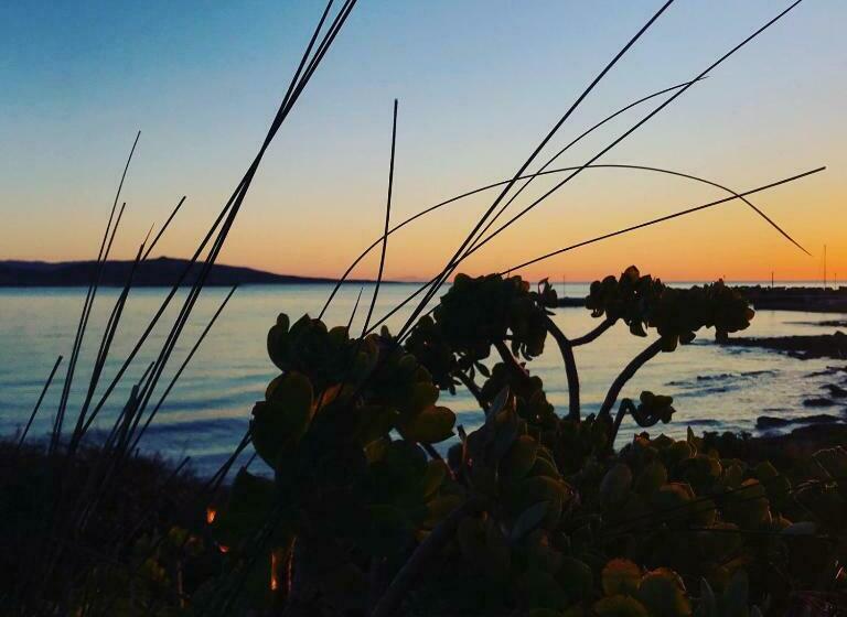 پانسیون Villa Curiazzi Guesthouse Viale La Pelosa 16