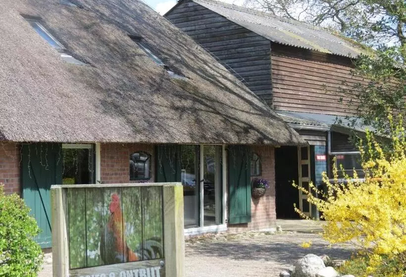 B&b De Berghoeve