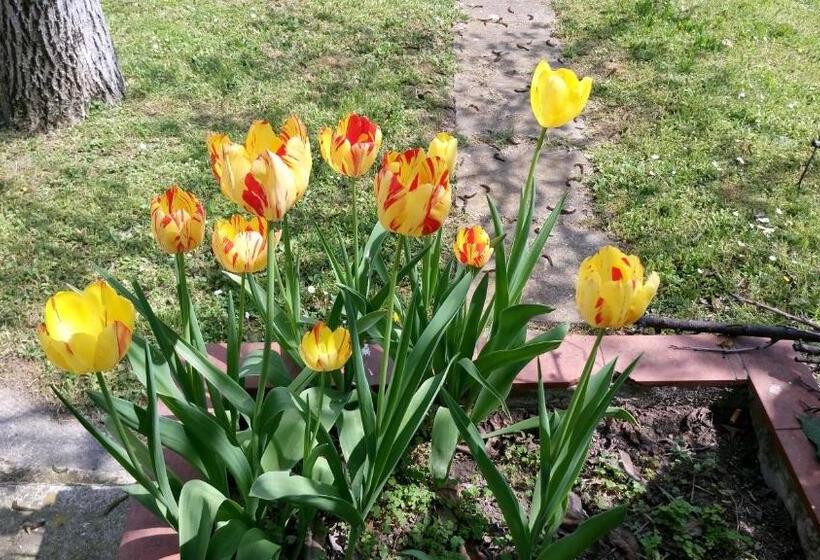 Bed and Breakfast Stop Over Blq