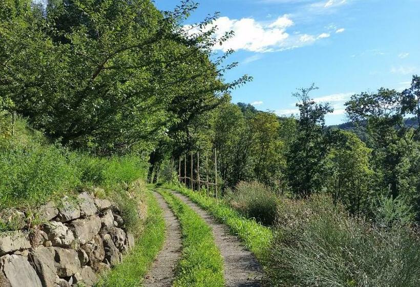 Отель Agriturismo San Genesio