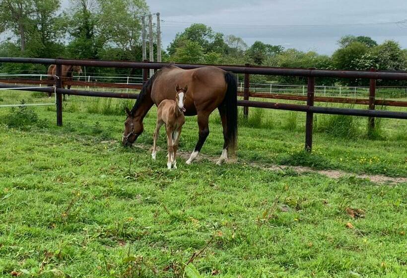 ペンション Ferme Du Loucel