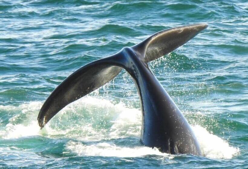 ベッドアンドブレックファースト 325onmain