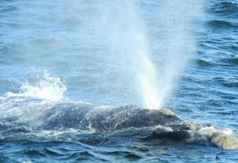 ベッドアンドブレックファースト 325onmain