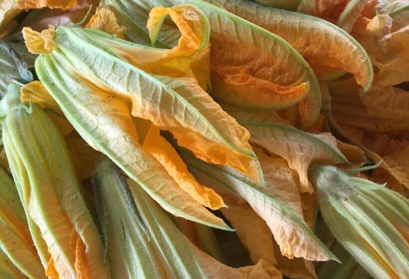 ホテル I Due Ghiri Cinque Terre Organic Food And Wine