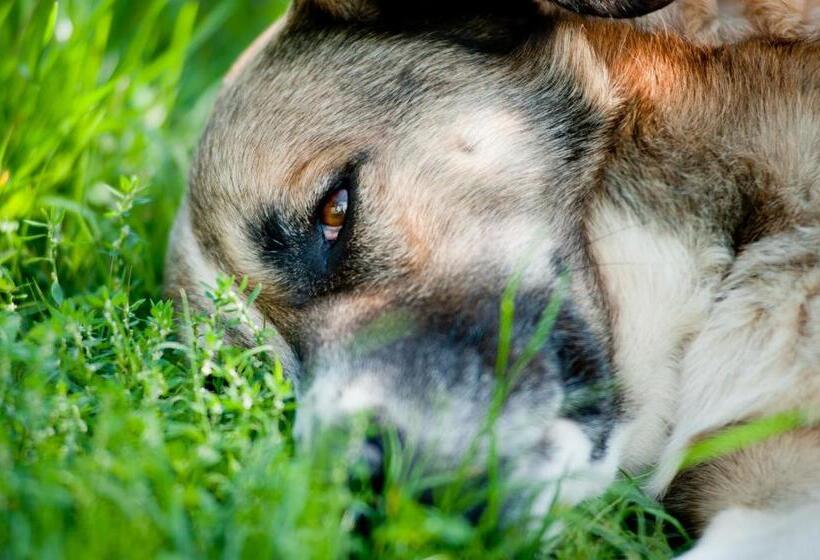 ホテル I Due Ghiri Cinque Terre Organic Food And Wine