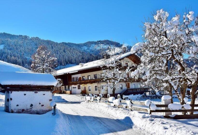 ホテル Leitnerhof