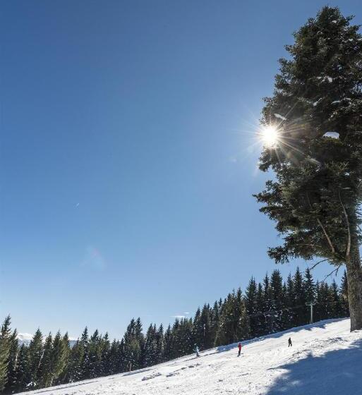 ホテル Leitnerhof