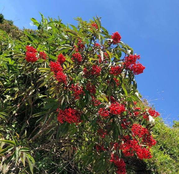 Пансион Haus Cilli