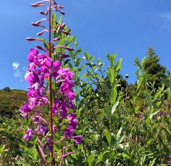 Пансион Haus Cilli