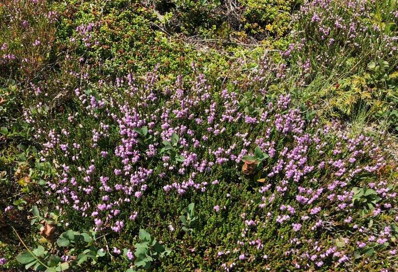 Пансион Haus Cilli