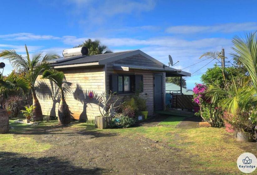 پانسیون Les Gites Le Bambou 3 étoiles Les Avirons