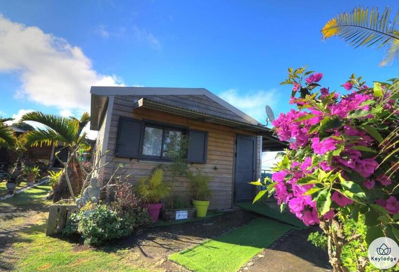 پانسیون Les Gites Le Bambou 3 étoiles Les Avirons