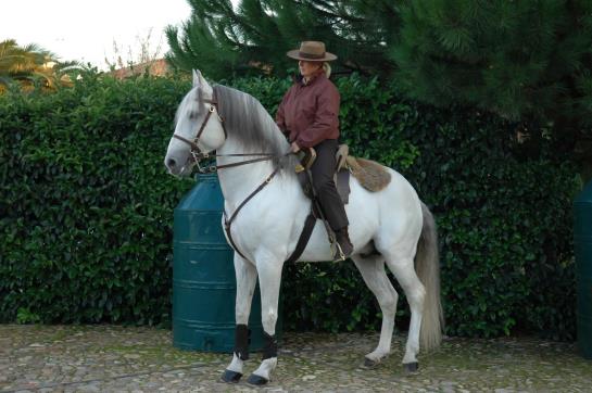 Hotel Pátio Da Avó Faustina