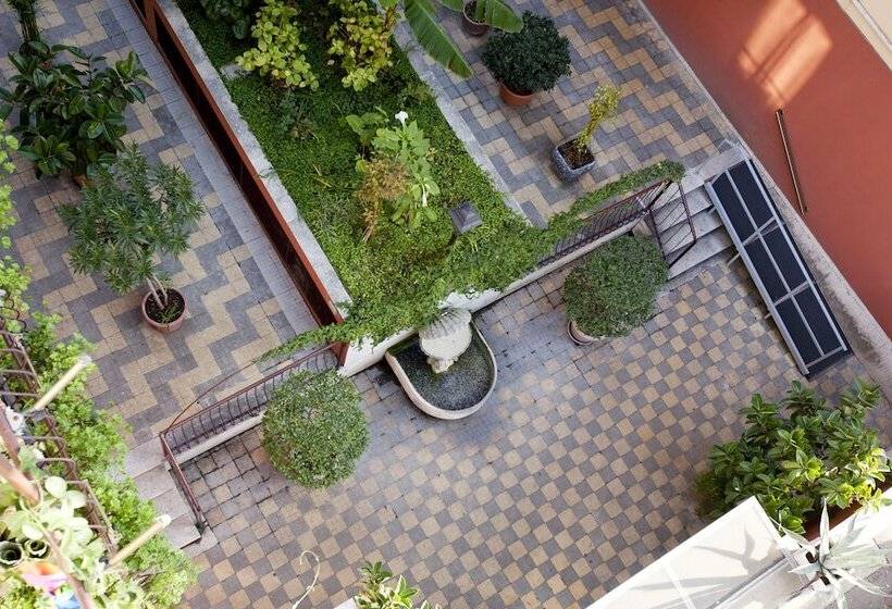 צימר Martini Bed