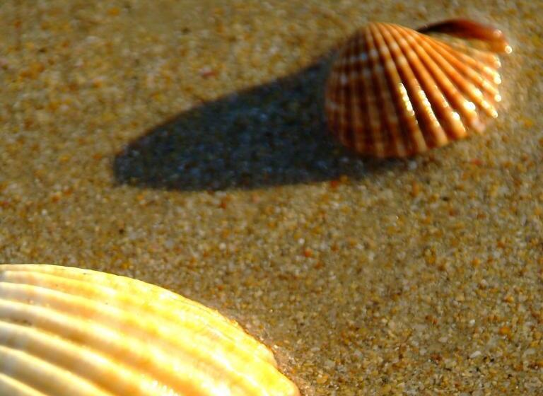 فندق Casa Grande