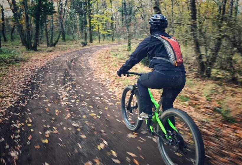 Отель Agriturismo Biologico Sant Egle