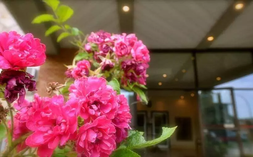 هتل Beausejour Hôtel Appartements