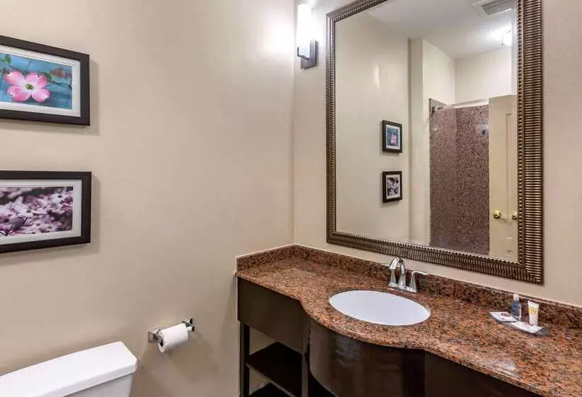 בית מלון כפרי Comfort Inn & Suites