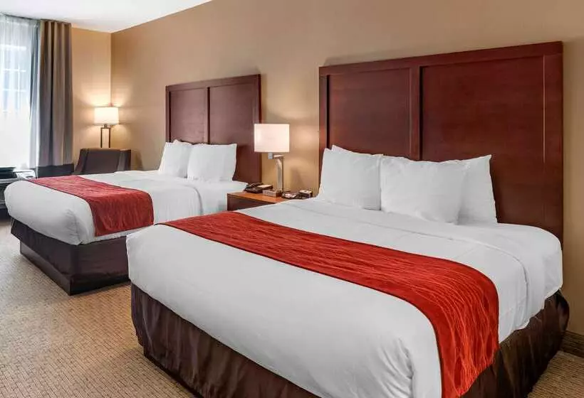 בית מלון כפרי Comfort Inn & Suites