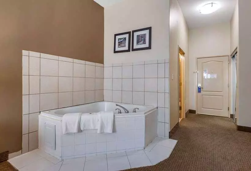 בית מלון כפרי Comfort Inn & Suites