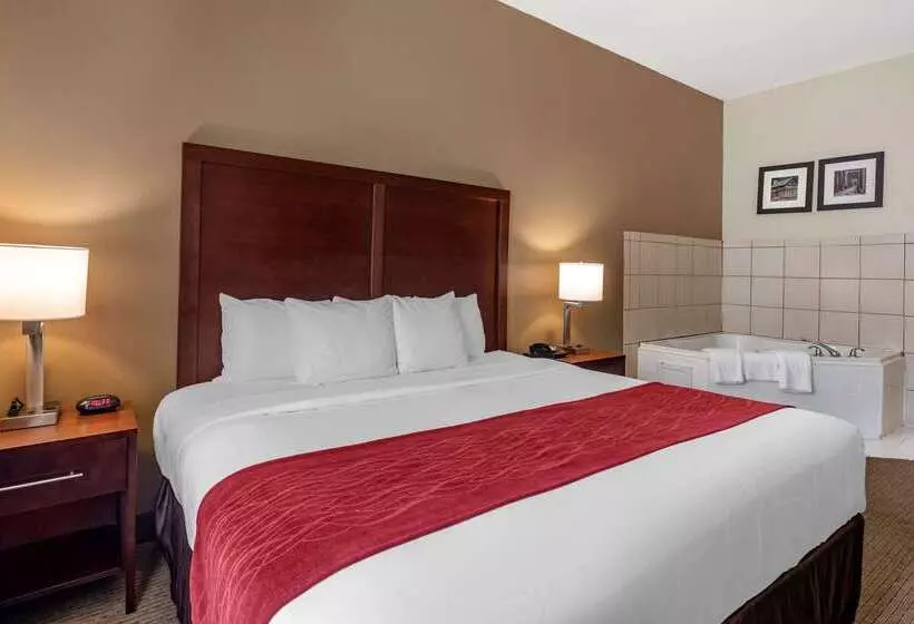 בית מלון כפרי Comfort Inn & Suites