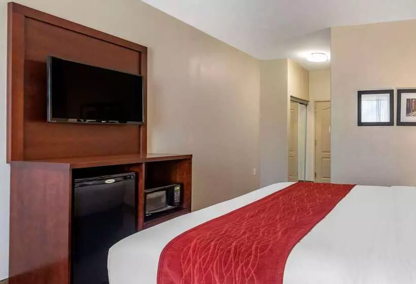 בית מלון כפרי Comfort Inn & Suites