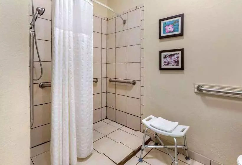 בית מלון כפרי Comfort Inn & Suites