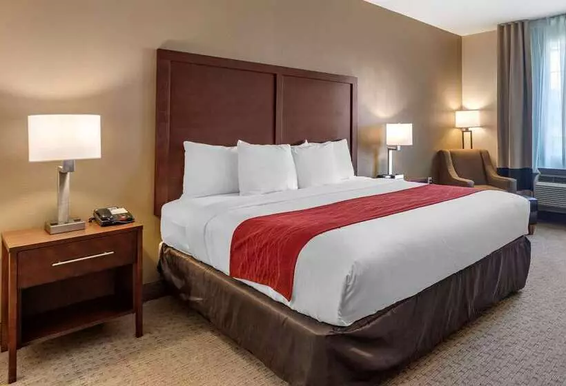 בית מלון כפרי Comfort Inn & Suites