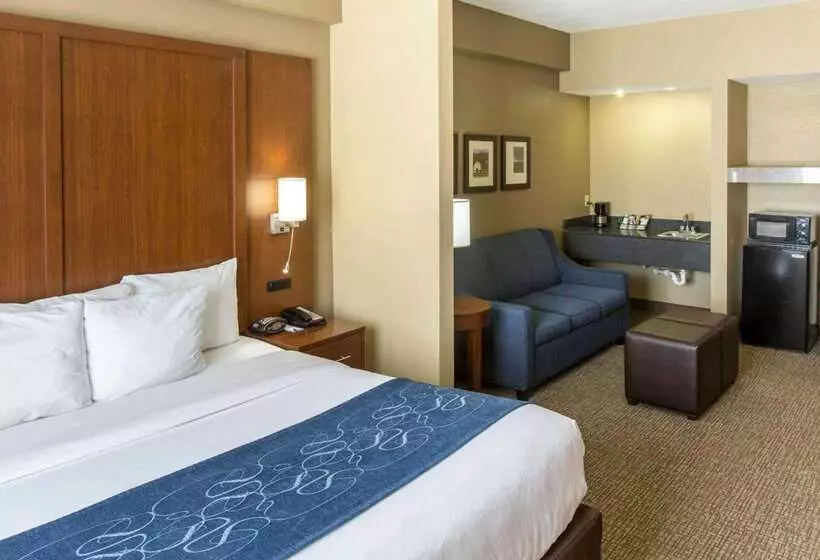 호텔 Comfort Suites Idabel