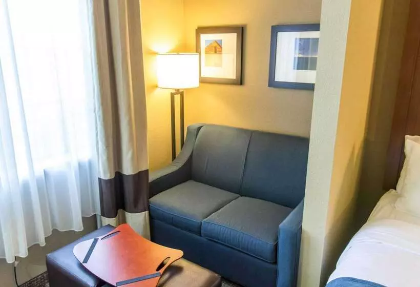 호텔 Comfort Suites Idabel