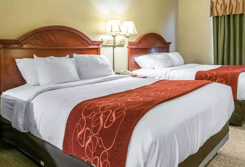 ホテル Comfort Suites