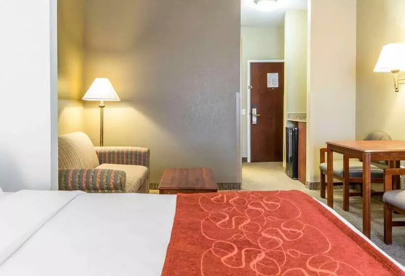 ホテル Comfort Suites