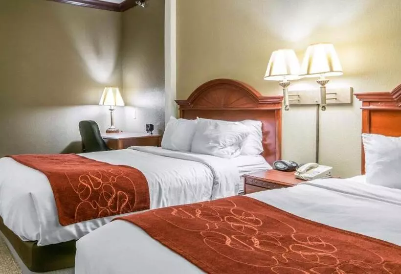 ホテル Comfort Suites