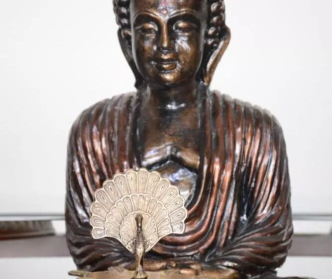 Отель Naturoville Ayurvedic And Yoga Retreat By Opensky