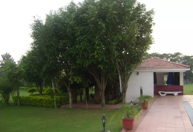 Отель Naturoville Ayurvedic And Yoga Retreat By Opensky