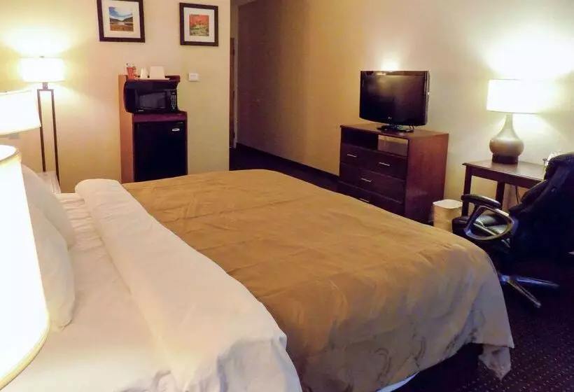 Отель Quality Inn