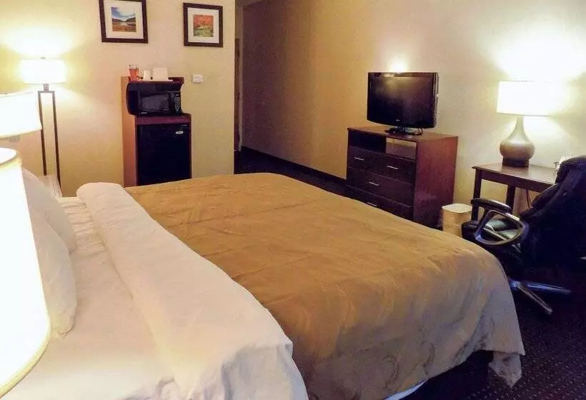 Отель Quality Inn