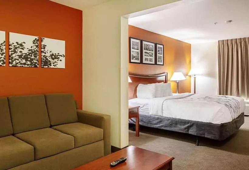 酒店 Sleep Inn & Suites