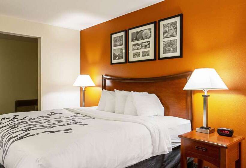 Hotel Sleep Inn & Suites