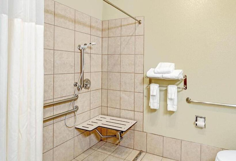 בית מלון כפרי Baymont By Wyndham Decatur