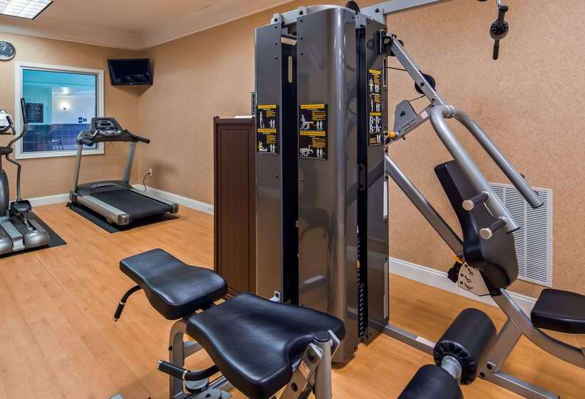 ホテル Best Western Plus Easton Inn & Suites