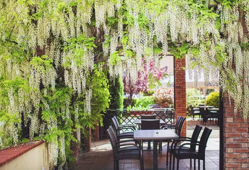 هتل Caramell Premium Resort Superior