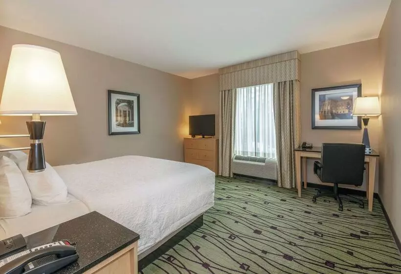 ホテル Hampton Inn & Suites Raleigh/crabtree Valley