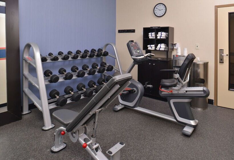 Отель Hampton Inn Van Horn