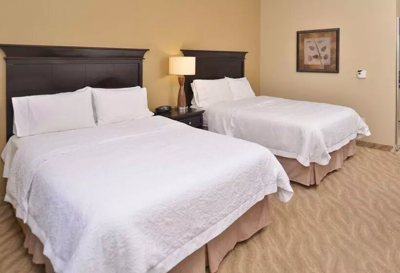 ホテル Hampton Inn Van Horn