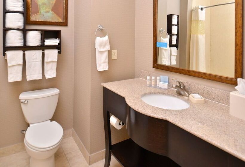 Отель Hampton Inn Van Horn